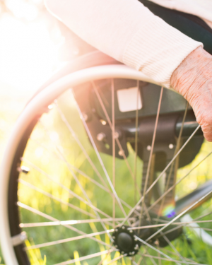 Schéma métropolitain personnes âgées et handicap