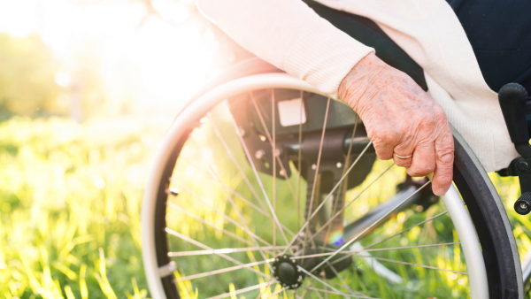 Schéma métropolitain personnes âgées et handicap